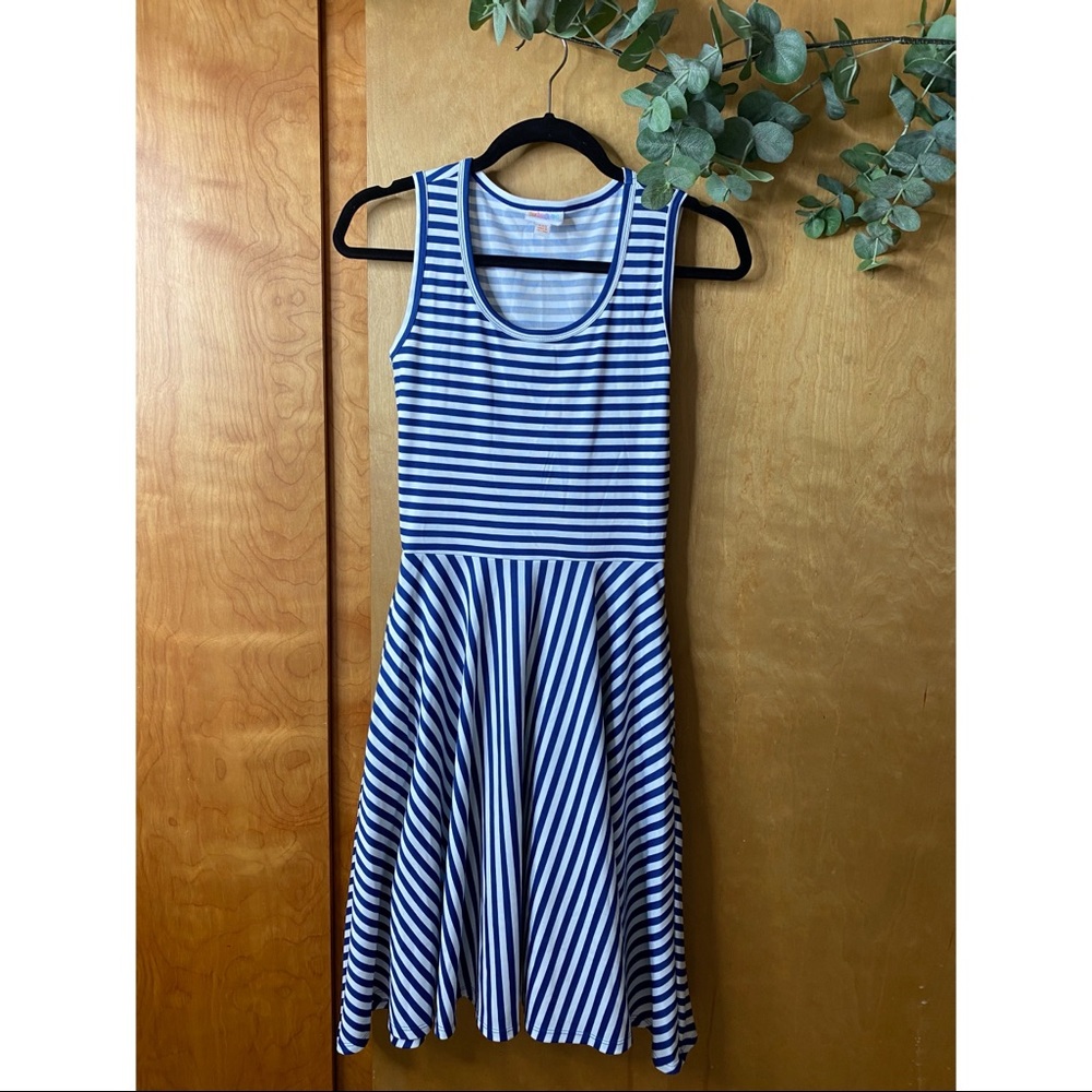 LulaRoe Nicki dress (it has pockets!)